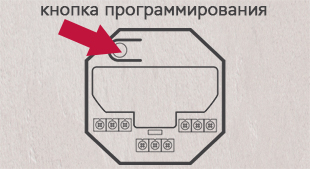 6954ff39c6957936235bd73d9f6ce808.jpg