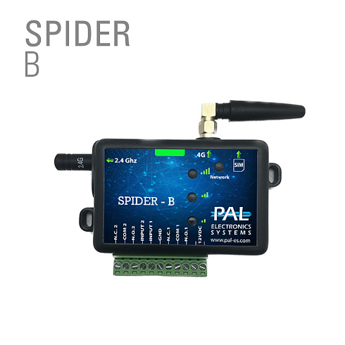 SPIDER B